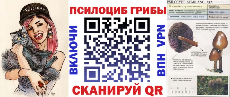 Галлюциногенные грибы Magic Shrooms  МЕГА маркетплейс  Губкин  где купить наркотик 